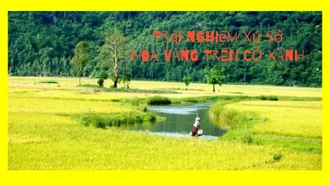 Bảng xếp hạng V.League 2024-2025 mới nhất vòng 23