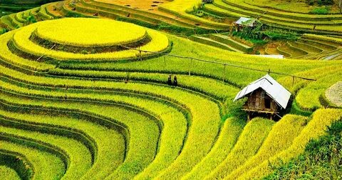 10X trúng tuyển 6 đại học top đầu châu Âu nhờ mê truyện trinh thám