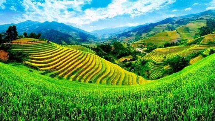 Hotspot Matrix và sự phát triển của trẻ em