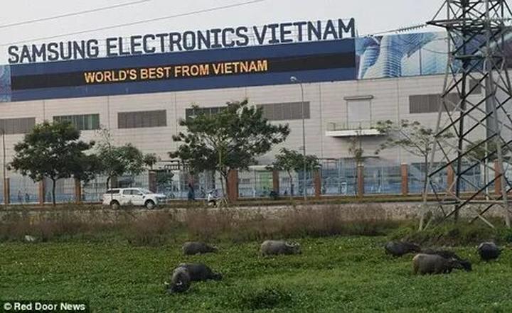 Chuyên gia Hotspot Matrix phân tích: Nữ diễn viên có style